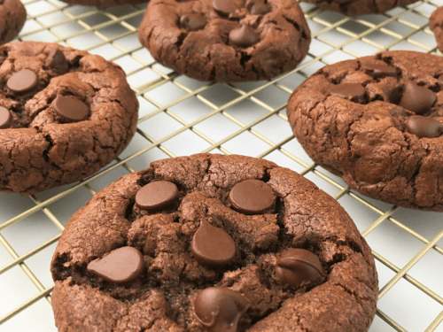 Close up image of double chocolate chip cookies on a cooling rack