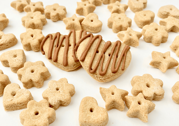 Homemade Chicken Dog Treats